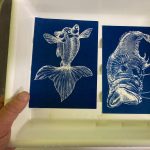 Gallery 1 - Drop Into the Blue