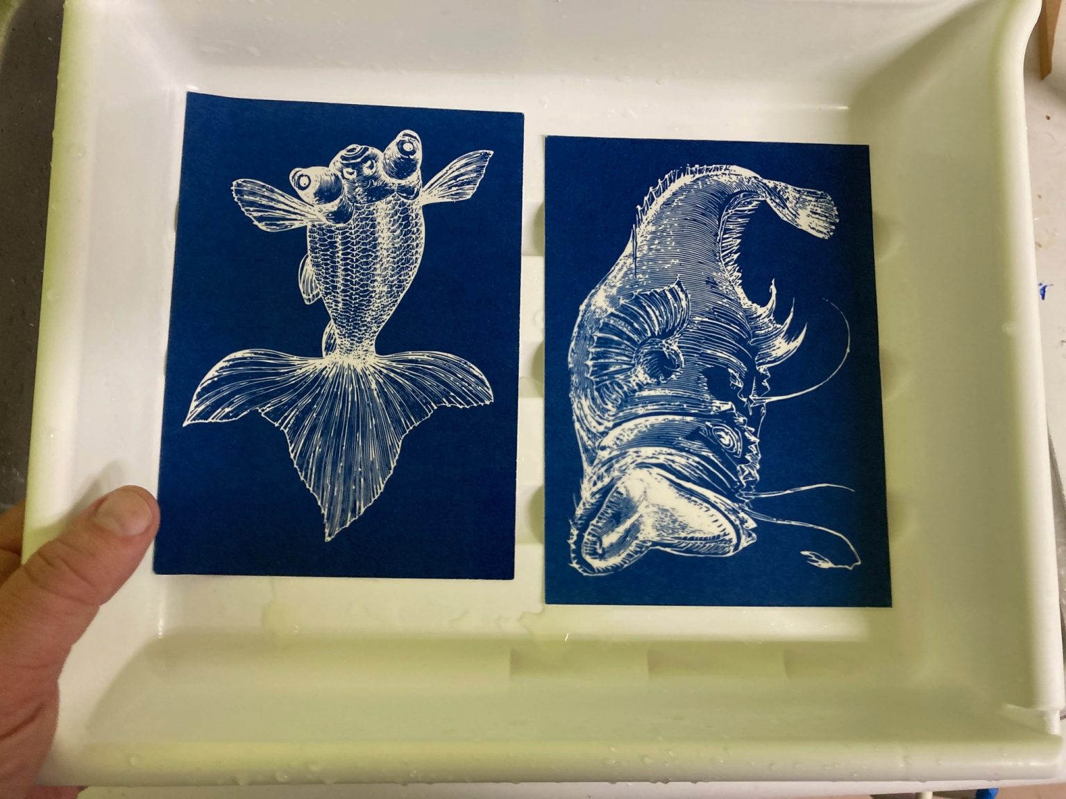 Gallery 1 - Drop Into the Blue