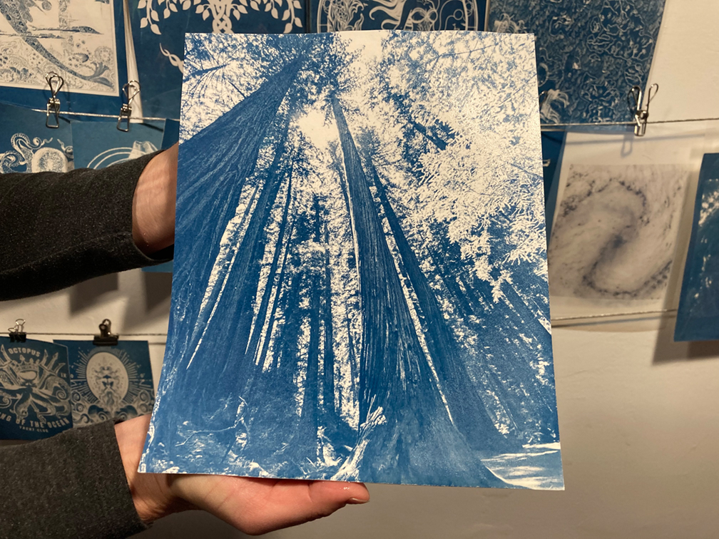 Gallery 3 - Drop Into the Blue