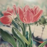 Gallery 5 - Two exhibitions of award-winning artists at Edgewater Gallery