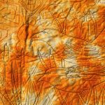 Gallery 3 - digital line drawing of orioles in the pond land, quilted on hand-dyed cotton, hanging wall art $399
