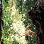 Aerial Dance Performance by Mendocino Dance Project