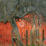 Gallery 2 - Celebrating Color - a national juried art exhibition
