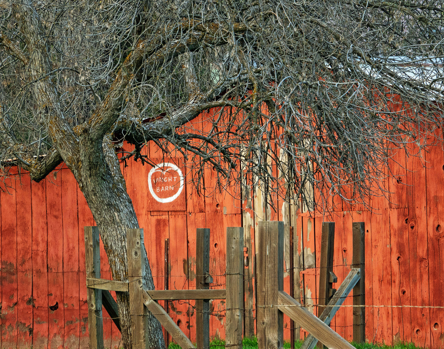 Gallery 2 - Celebrating Color - a national juried art exhibition