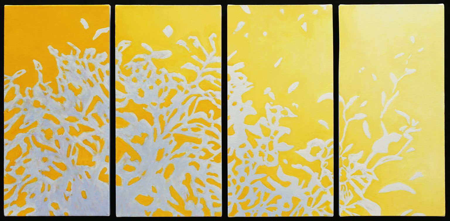 Gallery 7 - Celebrating Color - a national juried art exhibition